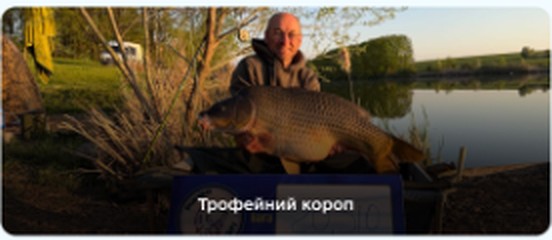 Короп